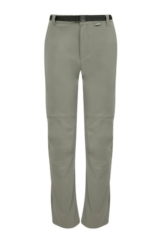 Alpinist Lizard Erkek Outdoor Pantolon Sand (520730071) Çok Renkli