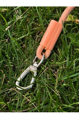 Freedsy Köpekler İçin 2.5 Metre Turuncu Naylon Tasma 480667608 Turuncu