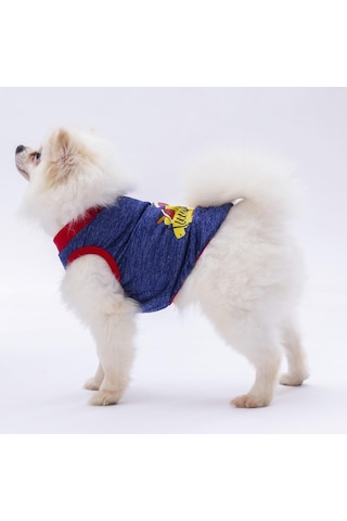 Pawstar Lacivert Summer Time Kedi Köpek Tişörtü Kıyafeti