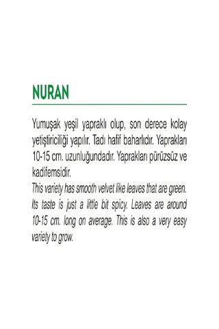 Agrodal Tarım Ata Tohumu Yerli Roka Nuran 2000 Adet Tohum