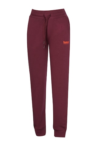 Hummel Halton Çocuk Eşofman Altı 932336-3858 Bordo