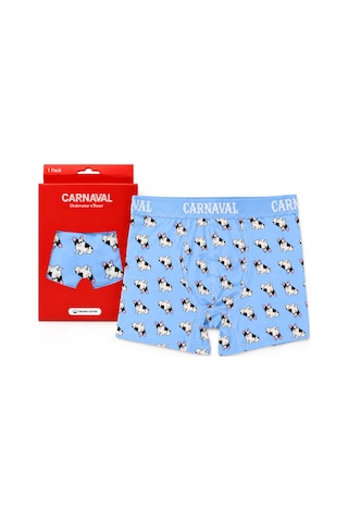 Carnaval Socks French Bulldog Köpek Desenli Erkek Boxer Pamuklu Likralı Parlak Lastikli Kutulu Açık Mavi Çoklu