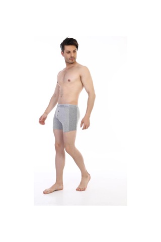 Epilons Zenvial Çift Kaplan 880 Elastanlı Erkek Boxer Zenviall2 Gri