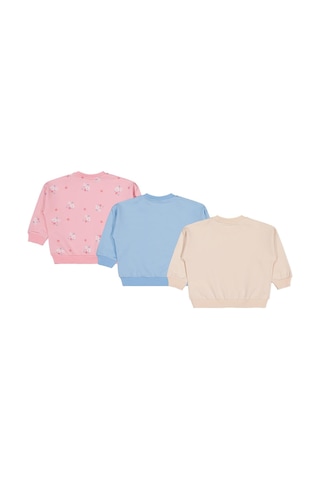 Civil Baby Tavşan Baskılı 3'lü Set 6-18 Ay Sweatshirt - Standart