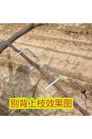 Youmex M Tipi Meyve Ağacı Dal Bükücü 13 Cm - 20 Adet/kilo, Dal Açısı Ayarlayıcı, Büyümeyi Teşvik Eden Bahçe Aleti