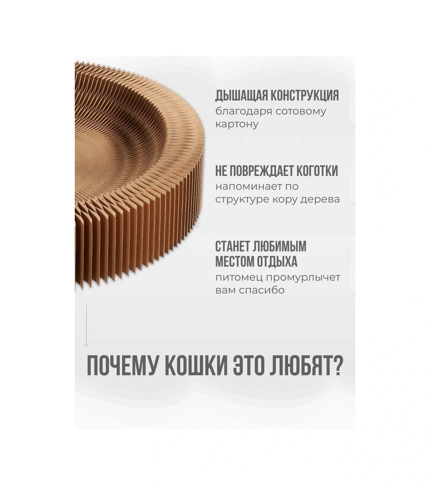 Kogtedralka Karton Yer Kedi Tırmalama Tahtası 123811523