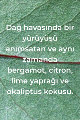 Method Banyo Temizleyici Okaliptüs ve Nane Kokulu 828 ML