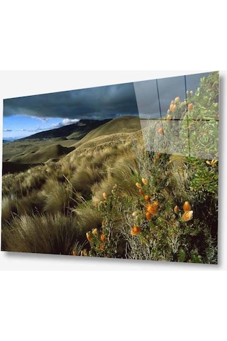 Manzara Doğa Cam Tablo 4mm Dayanıklı Temperli Cam30