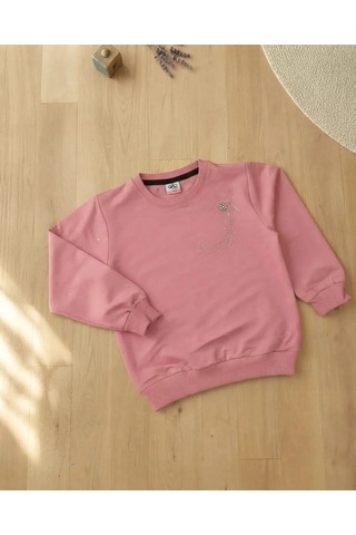Alfa Pembe Kız Çocuk Uzun Kollu Nakışlı Sweatshirt