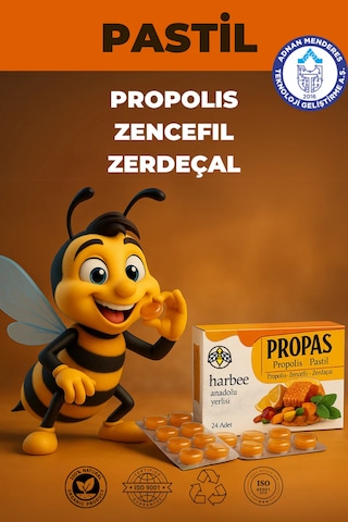 Propolis Zencefil Zerdaçal Pastil 16 Lı Boğaz Rahatlatıcı - Ha...