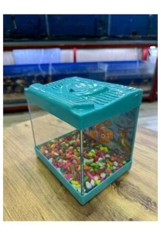 Mavi Renkli Mini Kare Akvaryum 20x20x15