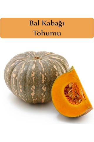 Bal Kabağı Tohumu 1 Paket Kabak Tohumu Kapalı Paket Tohum Bal Kabağı Tatlı Kabağı