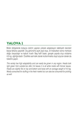 Yerli Doğal Yalova Lahanası Beyaz Lahana 100 Adet Tohum