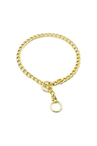 Eğitim Serisi Li Köpek Boyun Tasması 3,5x55 Cm - Gold