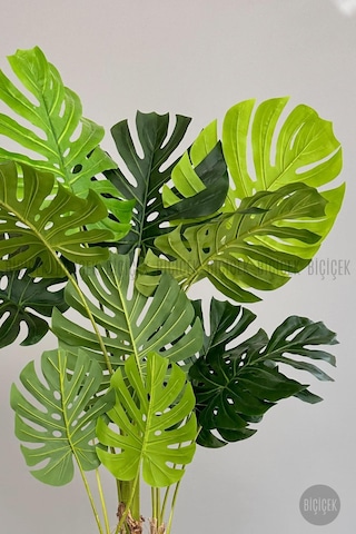 Biçiçek Yapay Monstera Ağacı Deve Tabani 180 Cm Antresi̇t Çeşme Saksıda