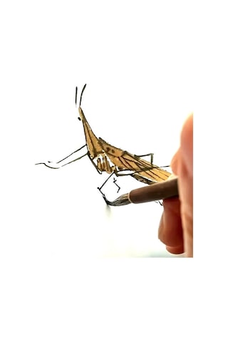 Tahrir Fırçası Kurt Kılı No:1-çini, Seramik, Tezhip, Minyatür, Brush, Ekstra İnce-1 Adet