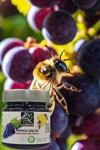 Aşıkzade Propolisli Şiraz Özü 255ml 280g Diğer