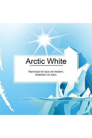 Little Trees Arctic White Buz Beyazı Ferahlığı Aromalı Asma Oto