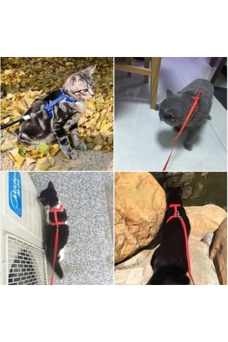 120cm Mavi Kullanıma Uygun Kedi Tasması Diğer