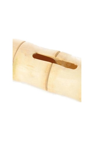 9070232562356 - Buffer 6 X 1 Cm Girişli Kılıflı Bambu Ağacı Akustik Ses Yükseltici Aparat