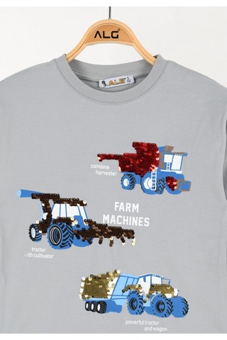 Alglıfe Erkek Çocuk Pullu Sweatshırt Gri