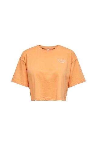 Only Kadın Renkli Crop T-shirt - 15260935 001