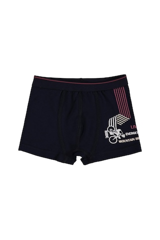 Civil Boys Bike 2-10 Yaş Erkek Çocuk 2'li Boxer - Standart