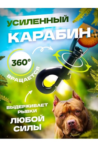 Petfort 3 M Yansıtıcı Naylon Köpek Tasması 167502168 Turuncu