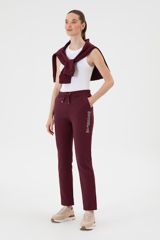 U.s. Polo Assn. Kadın Plum Eşofman Altı 50313583-vr177 New Plum