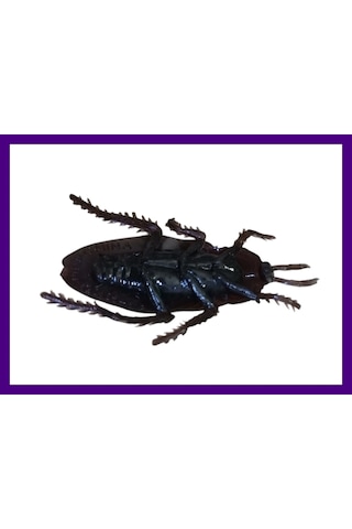 Şakacı Şaka Oyncak Silikon Hamam Böceği Parti Eğlence