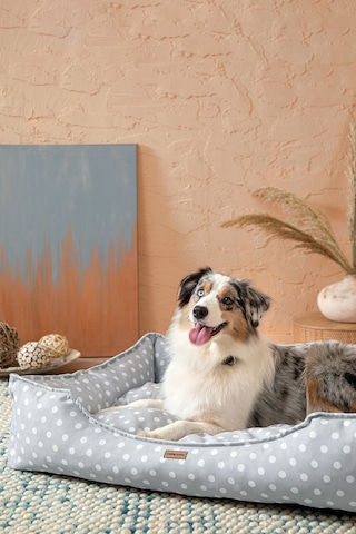 Yataş Bedding Nova Kedi & Köpek Yatağı - Büyük Boy XL