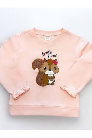Kız Çocuk Sincap İşlemeli Sweatshirt-14667 Pudra