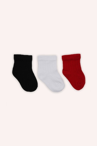 Panço Unisex Çizgili Soket Çorap Multi Set Renkli