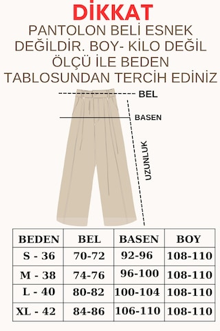 Trend Alisse Pileli Kumaş Palazzo Kadın Pantolon Siyah