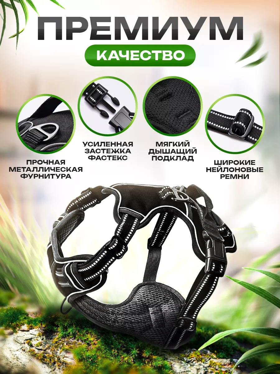 Petfort Orta Ve Büyük Irk Köpekler İçin Anatomik Koşu Kayışı 175383449 Siyah