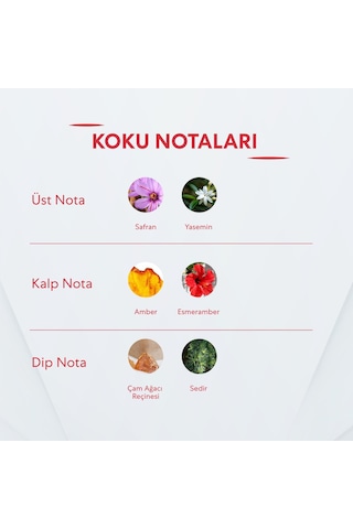 No: 199 + 460 Unisex / Kadın Parfüm Edp 50 Ml Oriental / Floral - Baharat