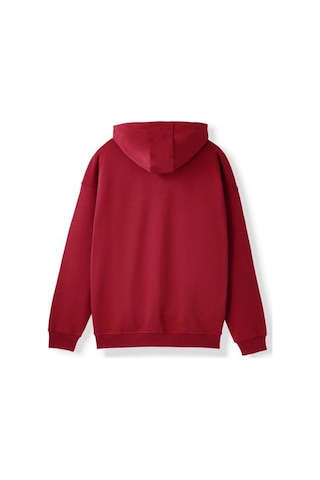 Galatasaray E252113 Hoodıe Bordo Erkek Sweatshirt Bordo