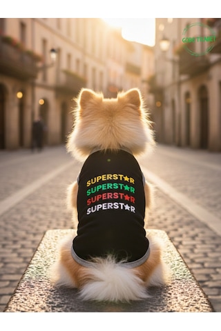 Siyah Superstar Yazılı Kedi Ve Köpek Kıyafeti Tişörtü Elbisesi Medium/m/beden 2