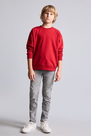 Defacto Bisiklet Yaka İçi Yumuşak Tüylü Basic Sweatshirt Erkek Çocuk I1419a826wnbr244 Kırmızı-br244