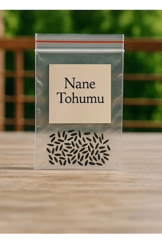 Nane Yetiştirme Seti. Nane Tohumu