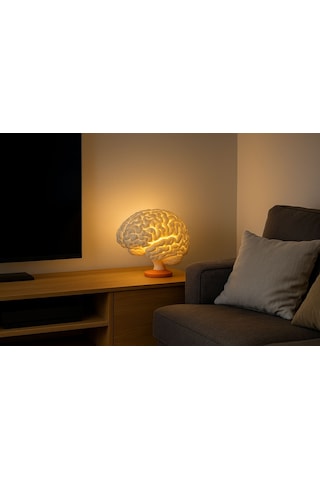 Brain Lamp Gerçek Ölçekli Beyin Şeklinde Masa Lambası
