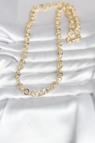 Ceylan Adam Cm 14k Gold Renk Kalın Halka Zincirli 60 Cm Kadın Kolye Çok Renkli