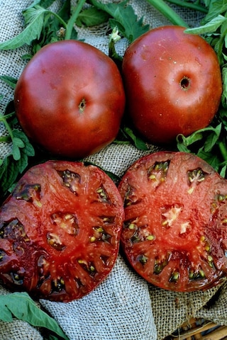 Siyah Black Krim Domates Tohumu Dünyanın En Lezzetli Domatesi