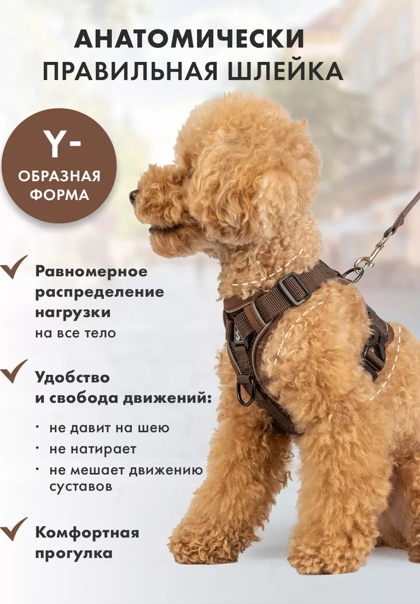 Purrfect Place Köpekler Ve Kedi İçin Tasma Şeritli Tasma 253725673