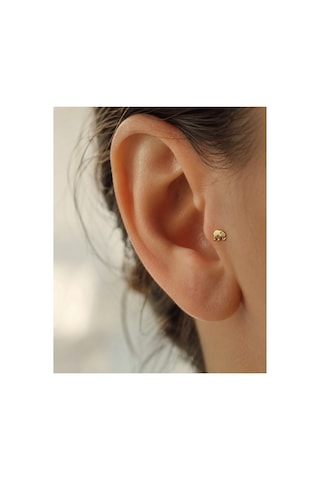 14 Ayar Altın Parlak Fil Model Taş Detaylı Tragus Piercing Küpe