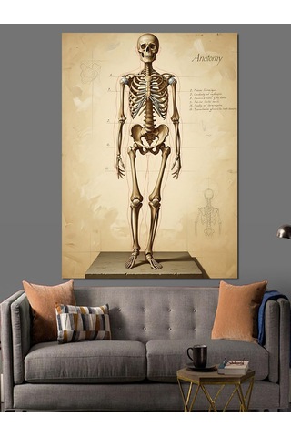 İnsan İskeleti Anatomik Çizim Dekoratif Kanvas - Mdf Ahşap Tablo