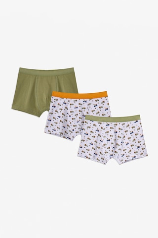 Penti Haki Erkek Çocuk Dino in The Field 3'lü Boxer