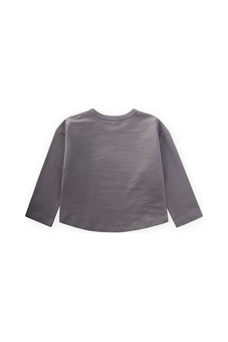 Cigit Nakışlı Erkek Çocuk Sweatshirt - Gri