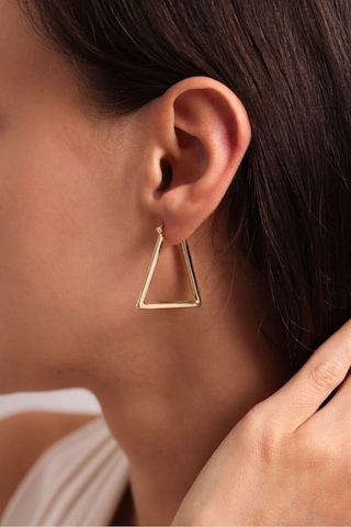 Gianfranco Trian Üçgen Küpe