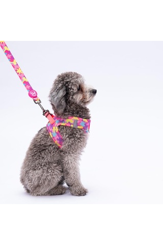 Pawstar Rosea Camouflage Leash Kedi Köpek Sevk & Gezdirme Kayışı Köpek Uzatma Tasması Pembe